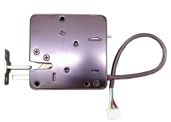 De solenoïden typen Elektrisch kabinetsslot met Dubbel terugkoppelen sensor