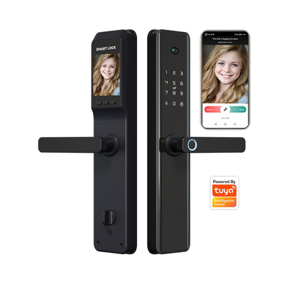 Van de de Vingerafdrukdeur van WiFi de Elektronische Biometrische Legering van het het Slotaluminium met Camera/Tuya App