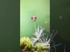 Hoe kan ik ons hotel slot systeem bijwerken naar versie 9.27C?