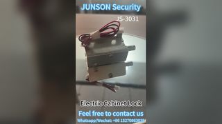 Elektrisch kastslot JS3031 12V 24V DC